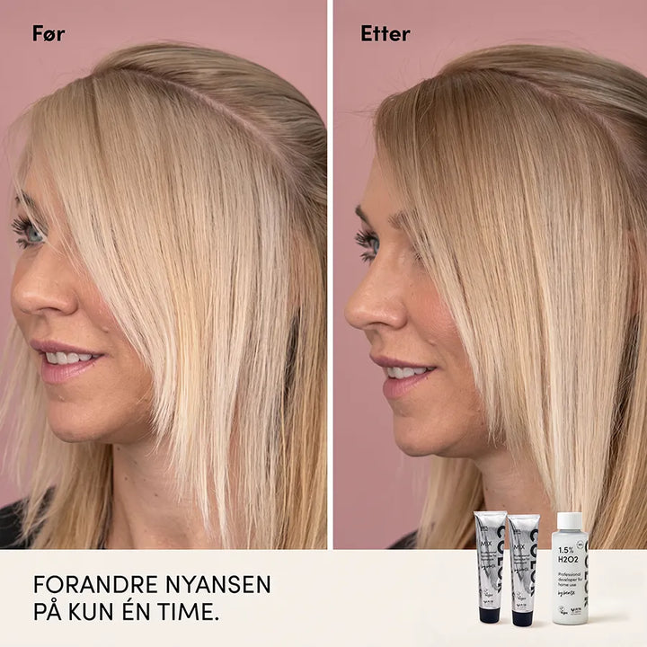 Naturlig blond - Toning Nr 10 + Nr 9.3